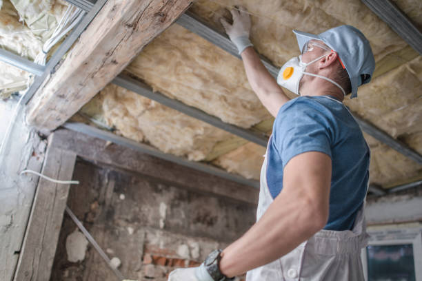 Best Residential Insulation in Mianna, AR